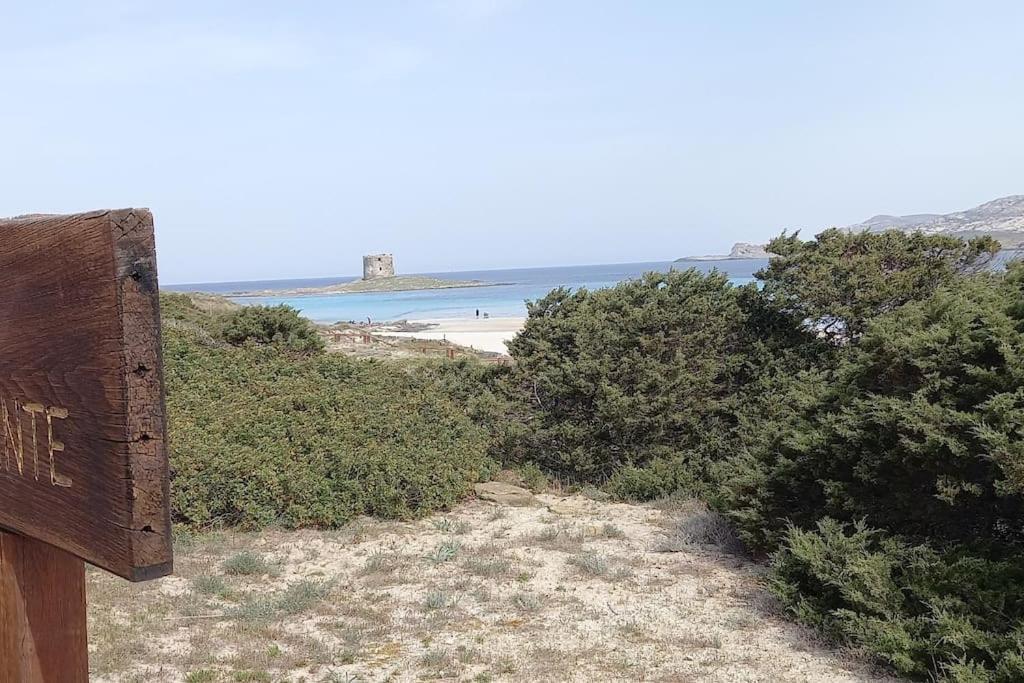Casa Vacanze Con Giardino I Girasoli - Cin It 09006 - 9 C 2000 R4042- 索尔索 外观 照片