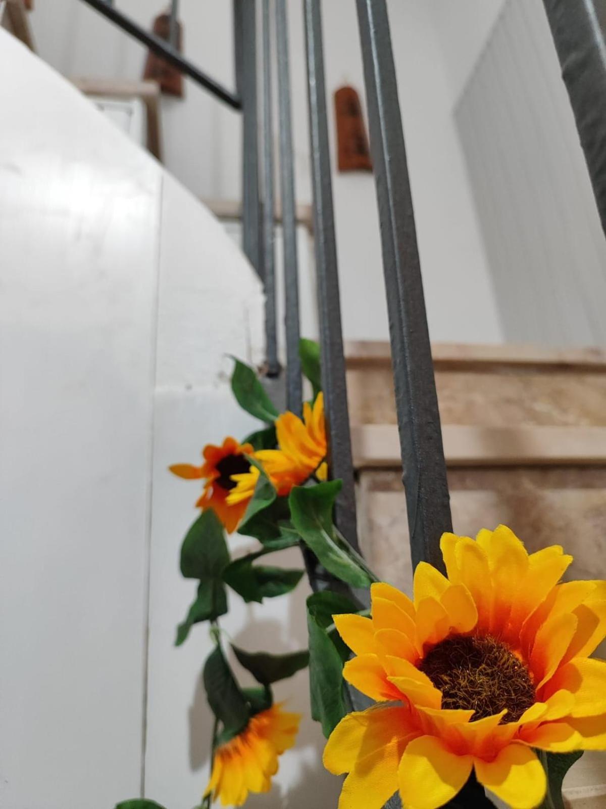 Casa Vacanze Con Giardino I Girasoli - Cin It 09006 - 9 C 2000 R4042- 索尔索 外观 照片